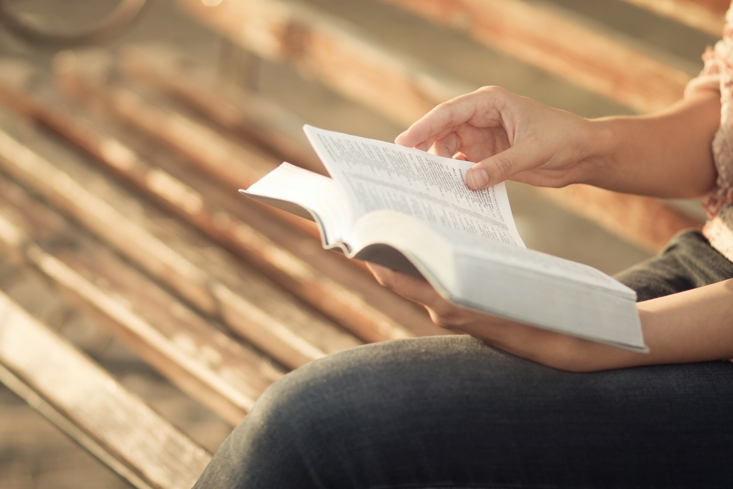 Open Bible